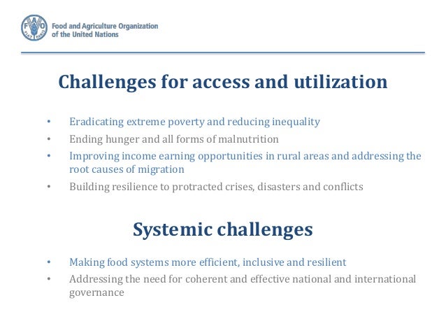 Governance Challenges and Opportunities